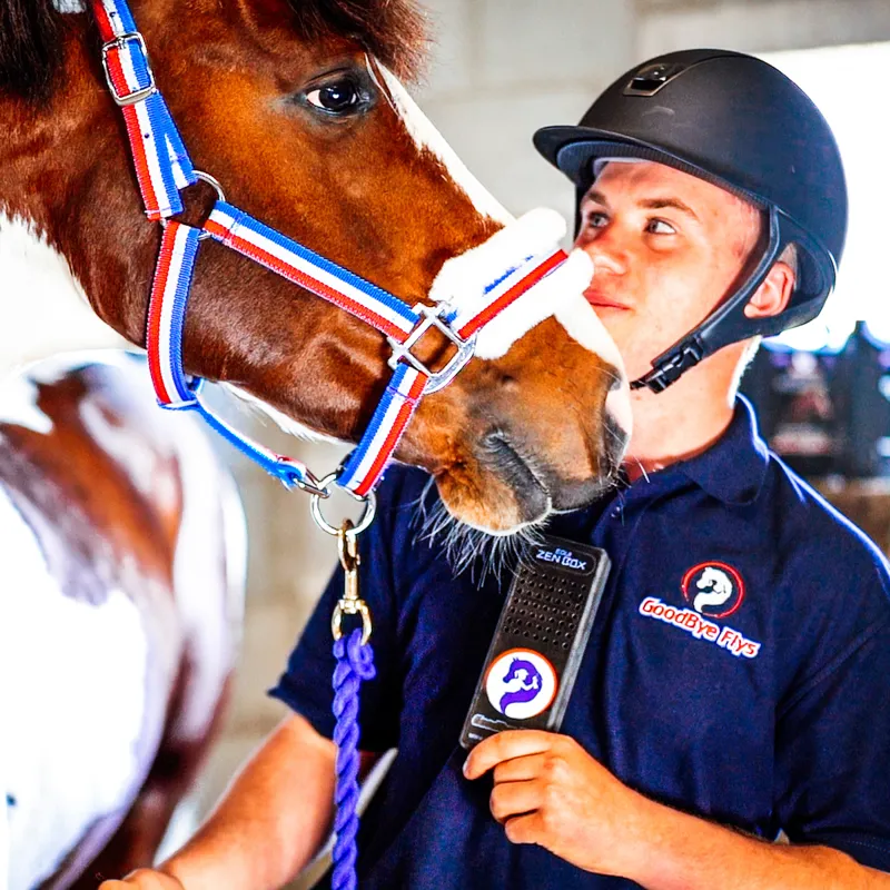 Goodbye Flys Equi Zen Box Starter Kit-3