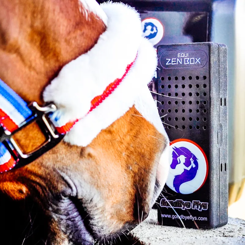 Goodbye Flys Equi Zen Box Starter Kit-5