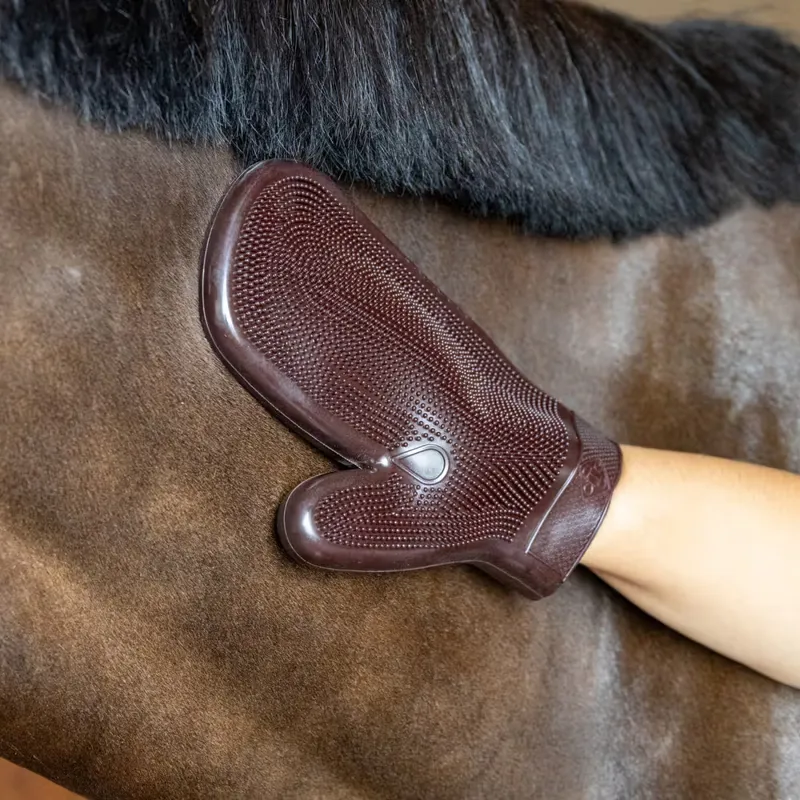 Grooming Deluxe Rubber Grooming Mitt - Brown-2