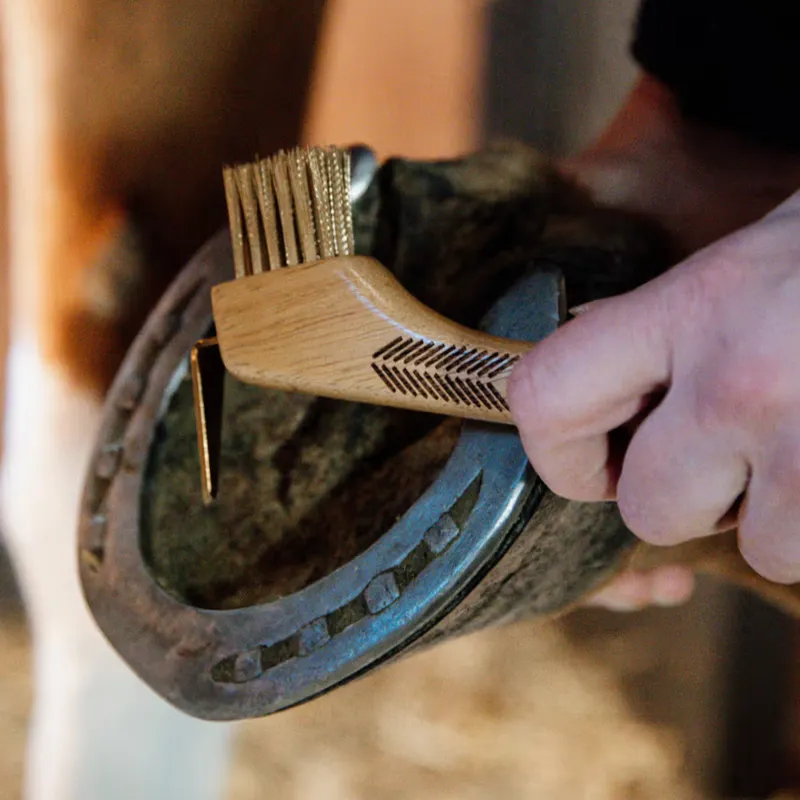 Grooming Deluxe Hoof Pick with Metal Bristles-1