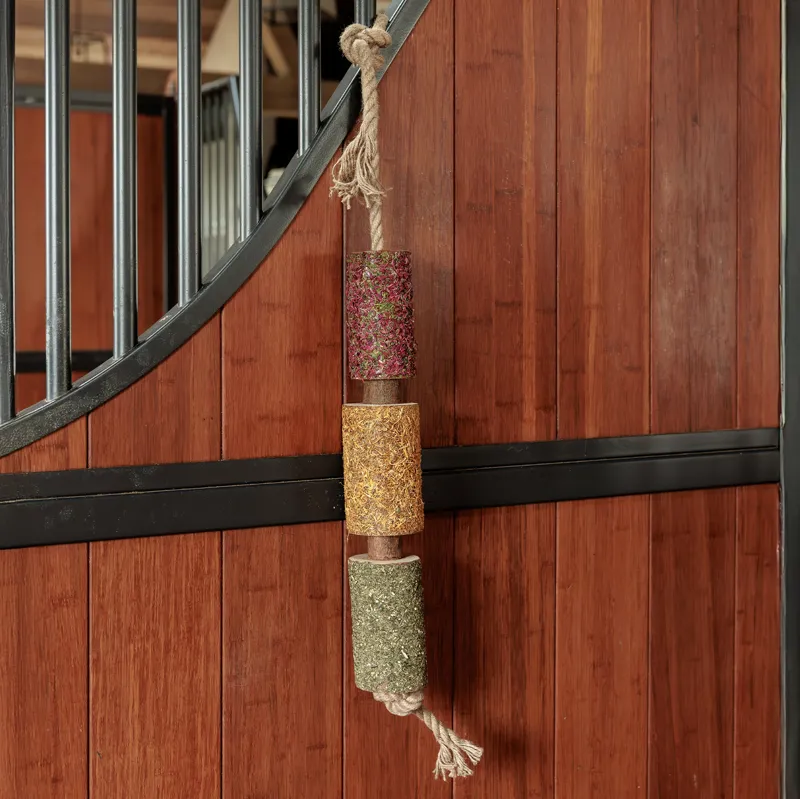 Grooming Deluxe Wooden Relax Horse Toy - De-Stress-1