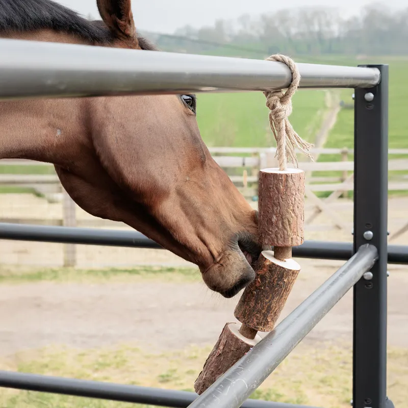 Grooming Deluxe Wooden Relax Horse Toy - Made By Nature-3