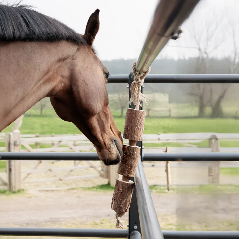 Grooming Deluxe Wooden Relax Horse Toy - Made By Nature-2