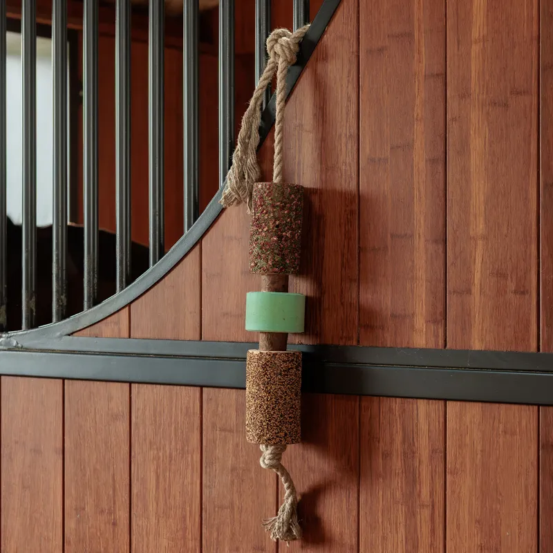 Grooming Deluxe Wooden Relax Horse Toy with Salt Lick - Airways-5