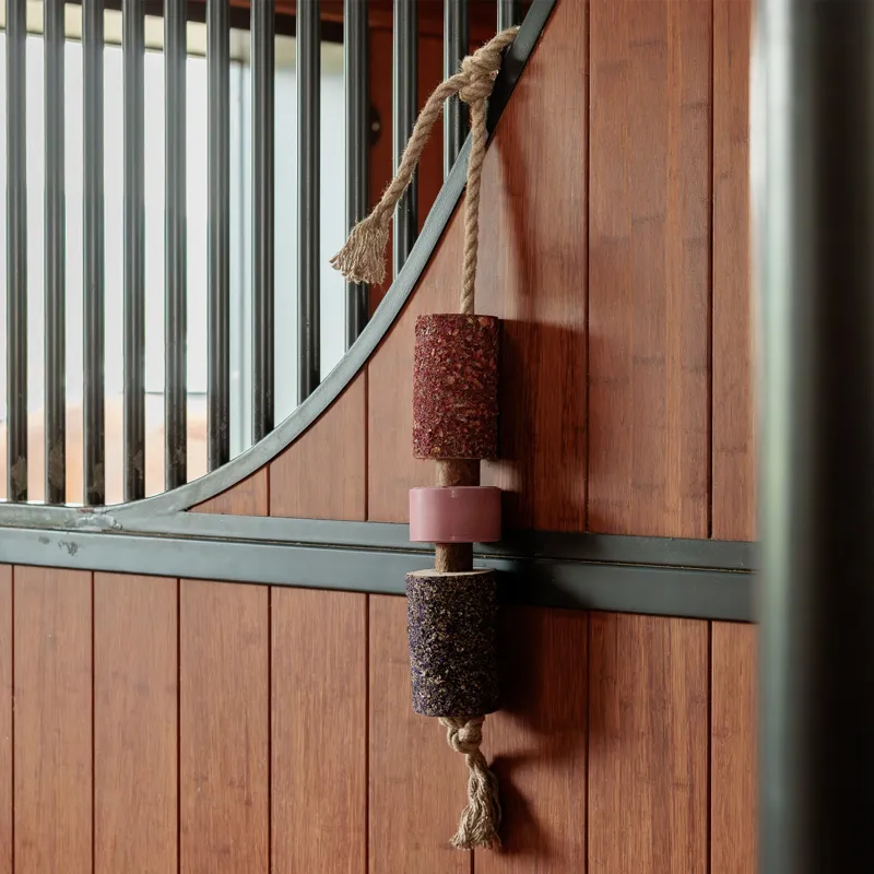 Grooming Deluxe Wooden Relax Horse Toy with Salt Lick - Sammy-3