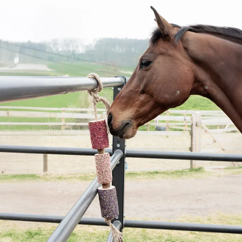 Grooming Deluxe Wooden Relax Horse Toy - Unicorn Joy-3