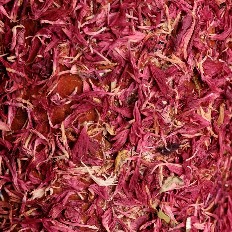 Grooming Deluxe Wooden Relax Horse Toy - Unicorn Joy-4