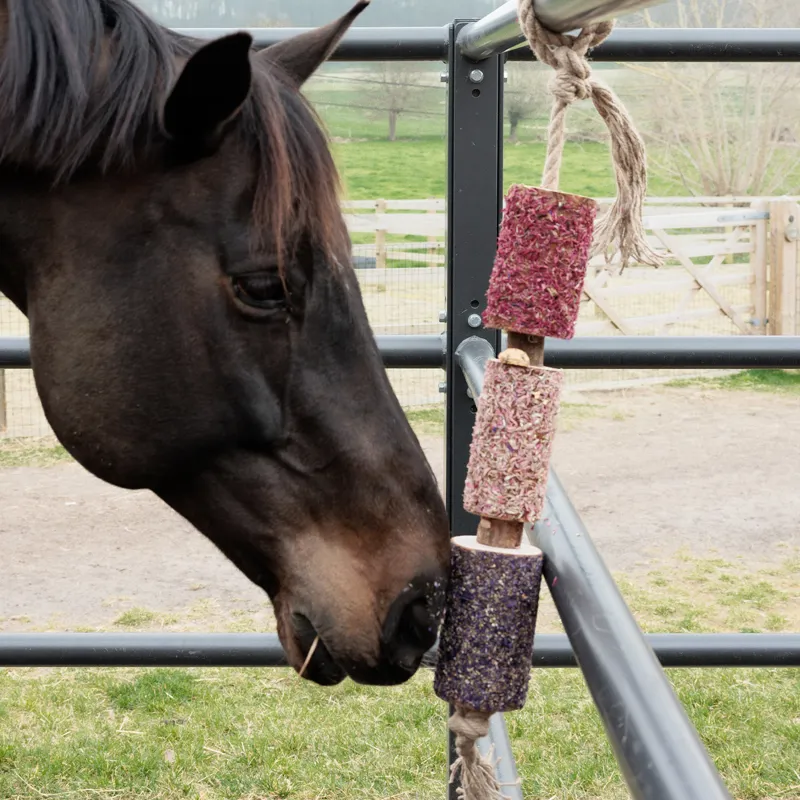 Grooming Deluxe Wooden Relax Horse Toy - Unicorn Joy-2