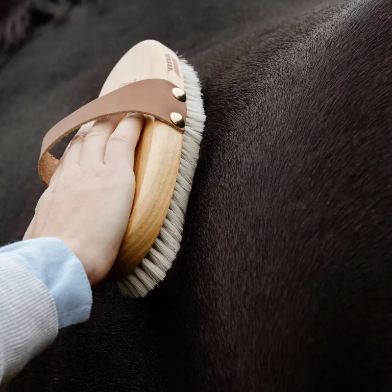 Grooming Deluxe Overall Soft Shine Body Brush-1