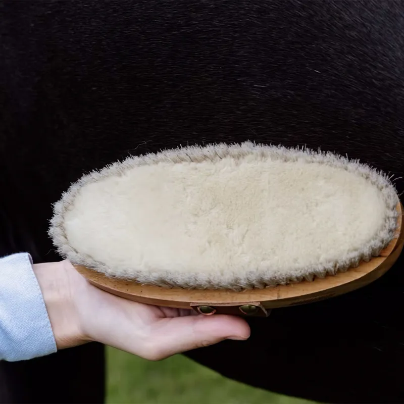 Grooming Deluxe Overall Soft Shine Body Brush-3