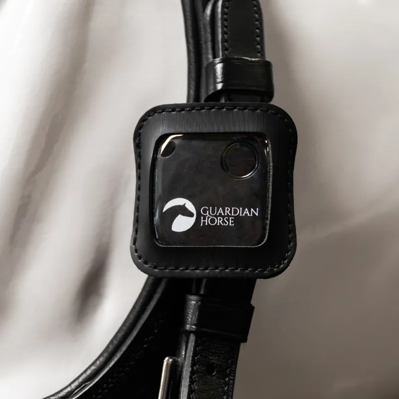 Guardian Horse Accident Tracker-2