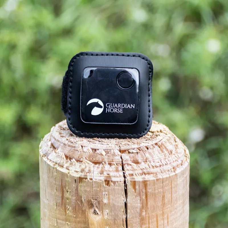 Guardian Horse Accident Tracker-3