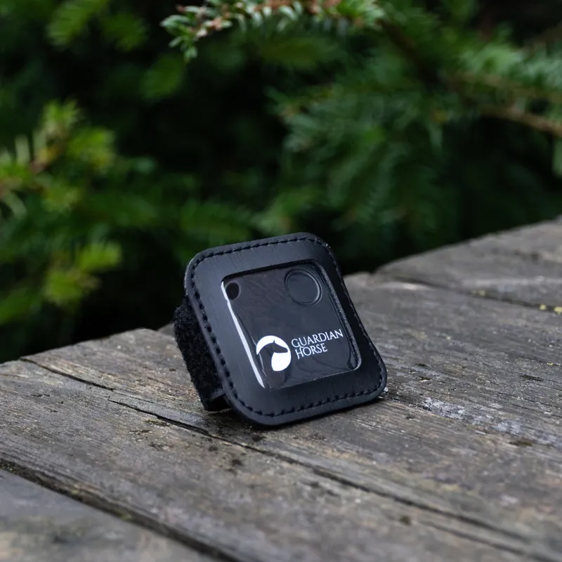 Guardian Horse Accident Tracker-4