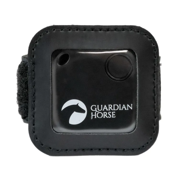 Guardian Horse Accident Tracker-1