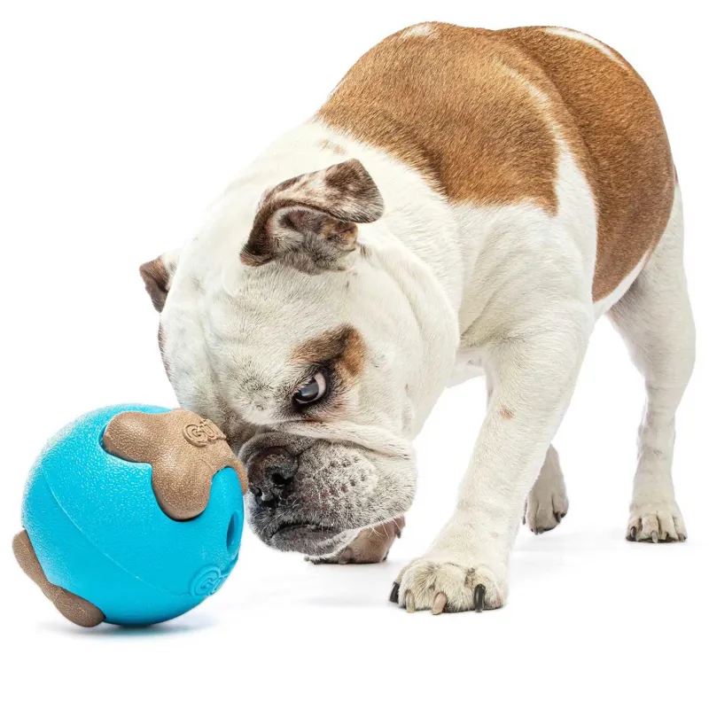 GURU Busy Ball Dog Toy-2