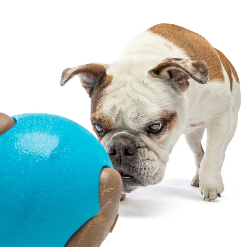 GURU Busy Ball Dog Toy-3