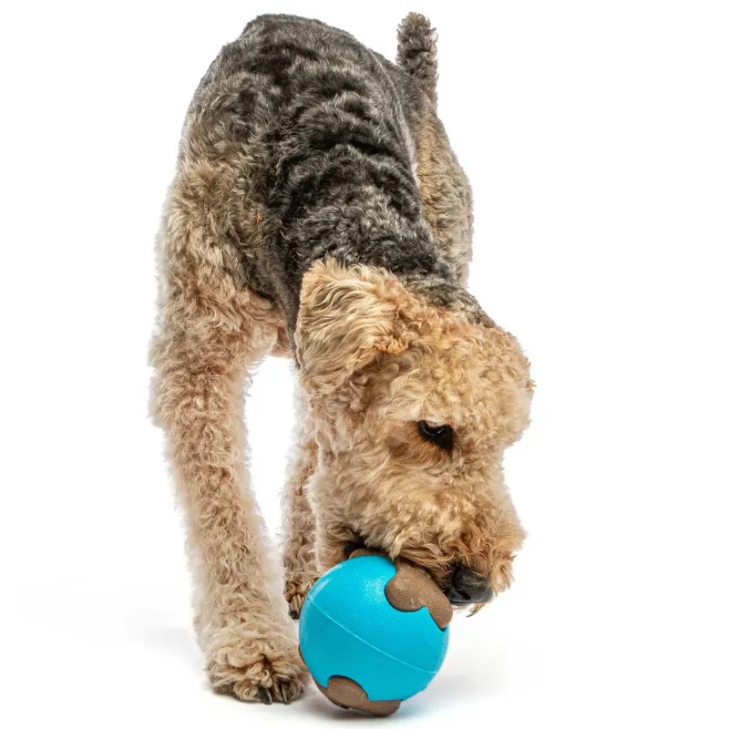 GURU Busy Ball Dog Toy-4