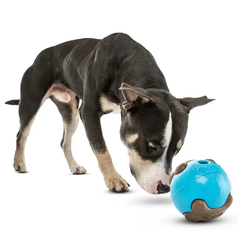 GURU Busy Ball Dog Toy-5