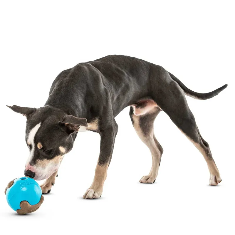 GURU Busy Ball Dog Toy-7
