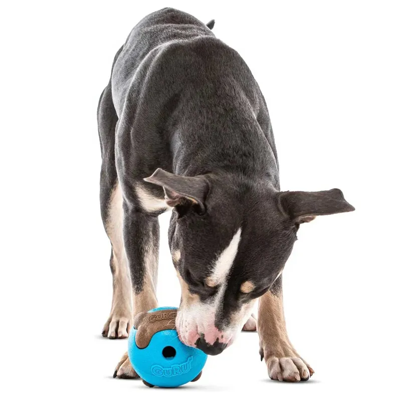 GURU Busy Ball Dog Toy-6