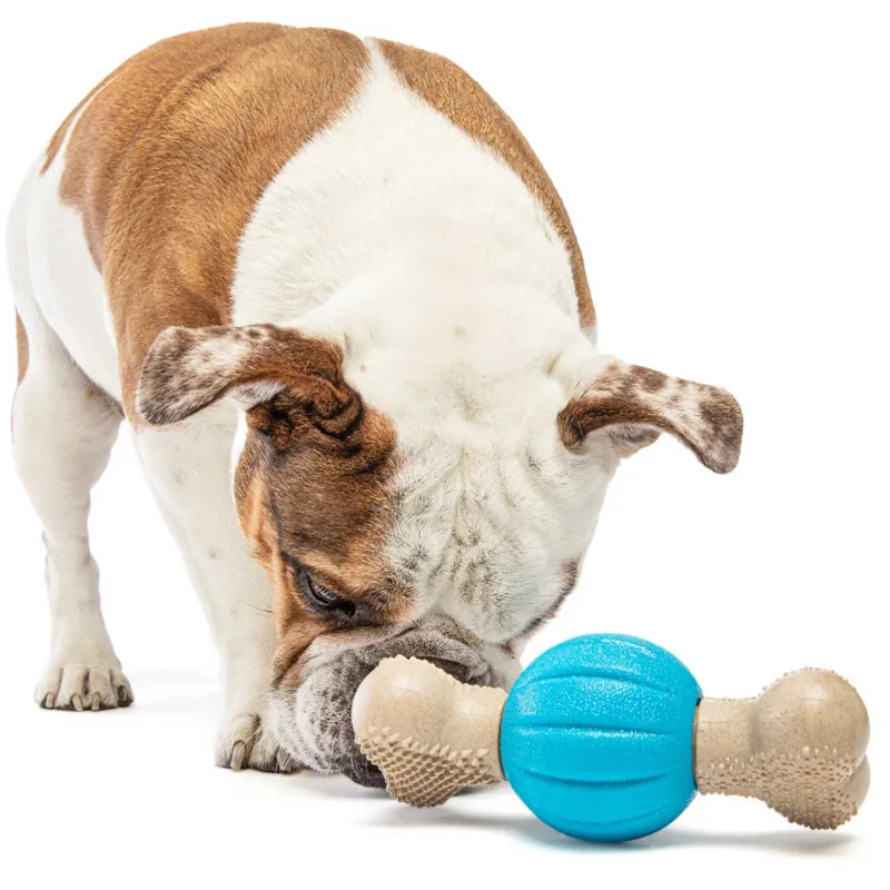 GURU Spin and Chew Bone Dog Toy-6