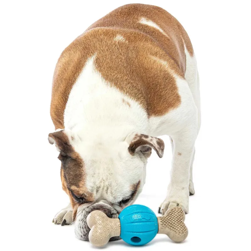 GURU Spin and Chew Bone Dog Toy-7