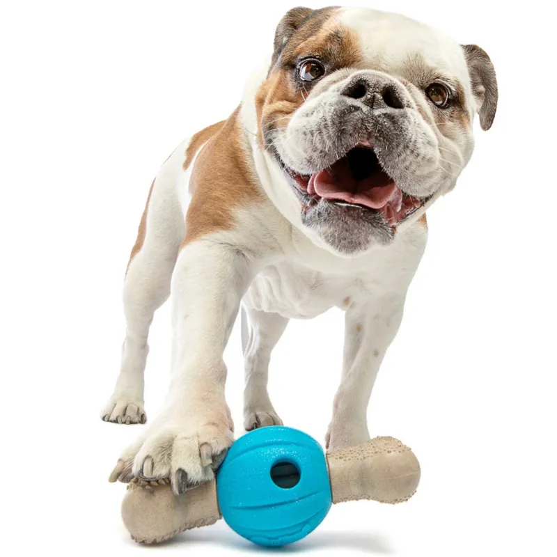 GURU Spin and Chew Bone Dog Toy-8