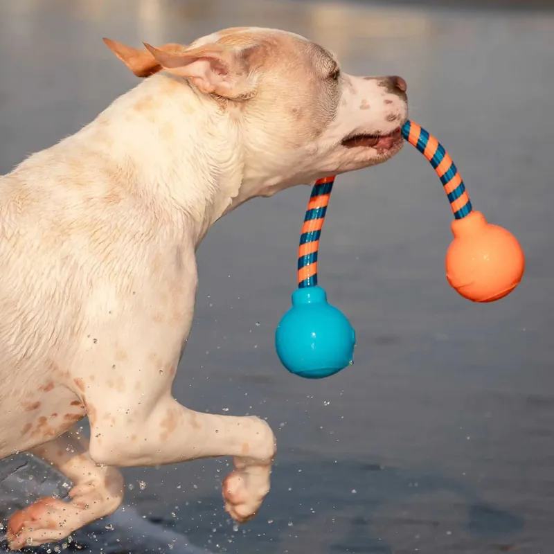 GURU Squeaking Rope Dog Toy-7