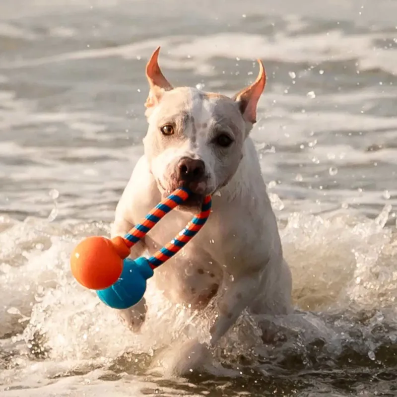 GURU Squeaking Rope Dog Toy-6