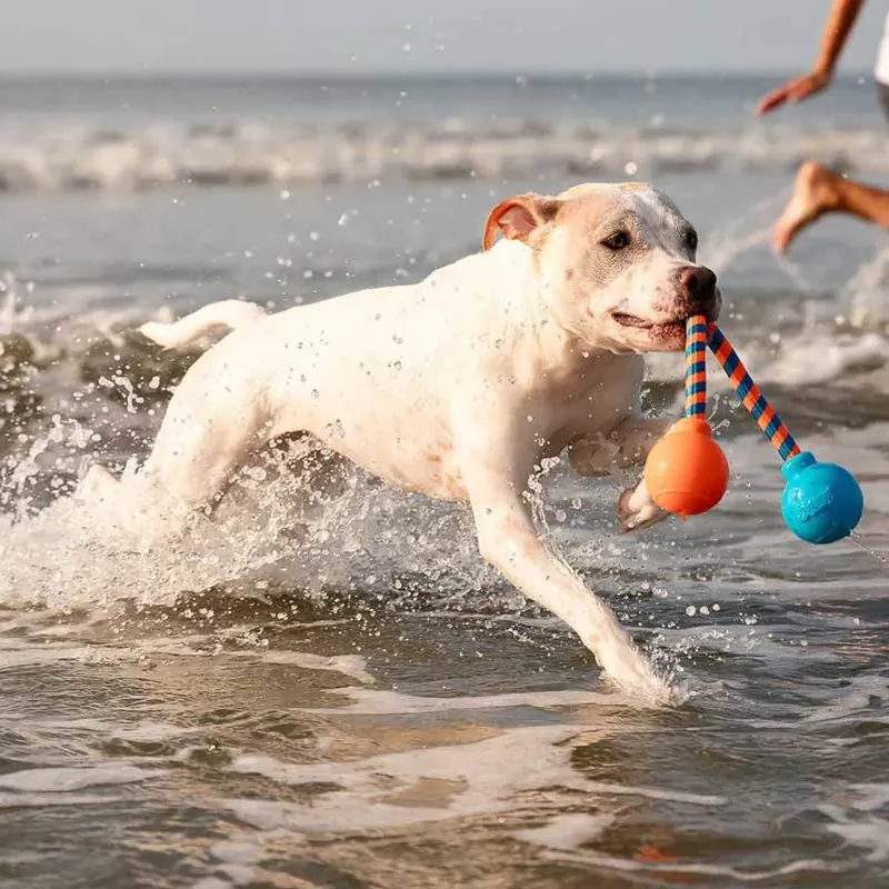 GURU Squeaking Rope Dog Toy-5