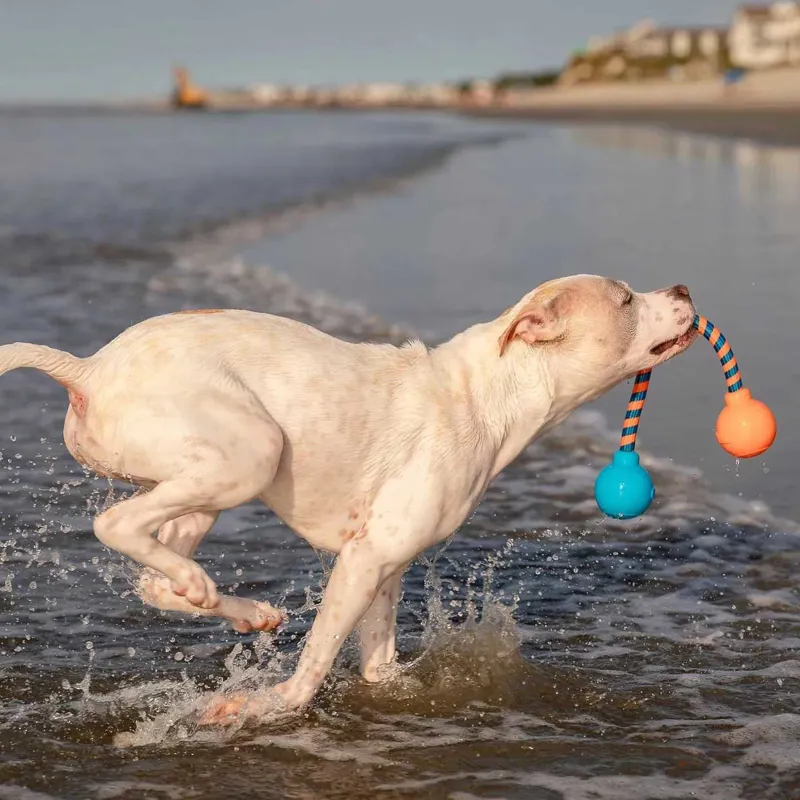 GURU Squeaking Rope Dog Toy-4