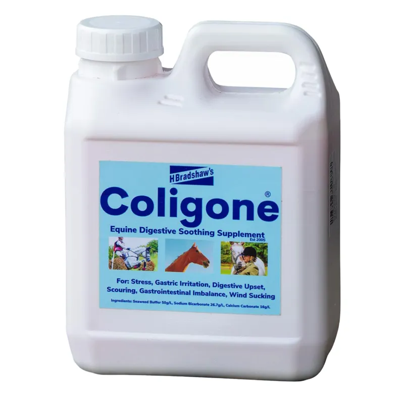 H Bradshaws Coligone Digestion Liquid-2