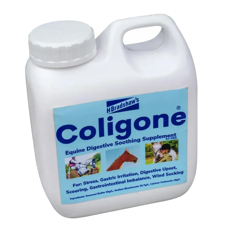 H Bradshaws Coligone Digestion Liquid-1