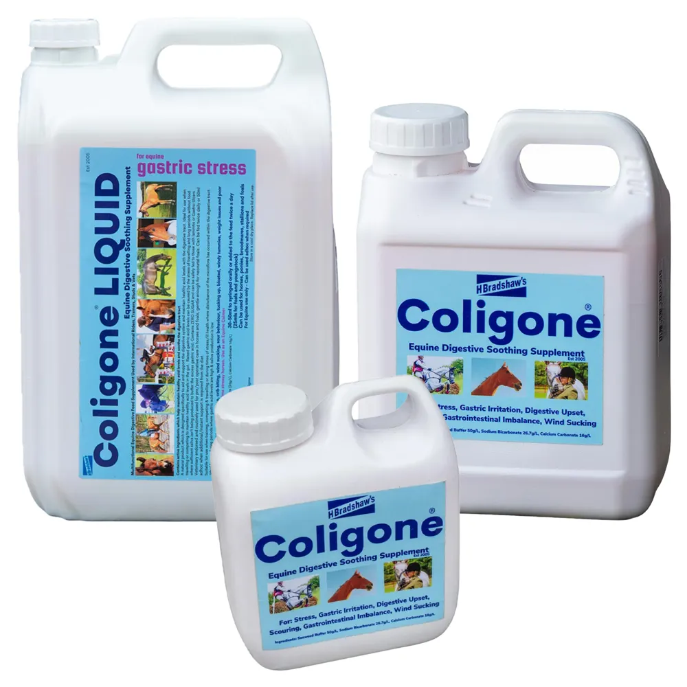 H Bradshaws Coligone...