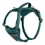 Halti Anatomy Dog Harness -Teal