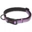 Halti Comfort Dog Collar - Purple