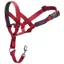 Halti Dog Headcollar - Red