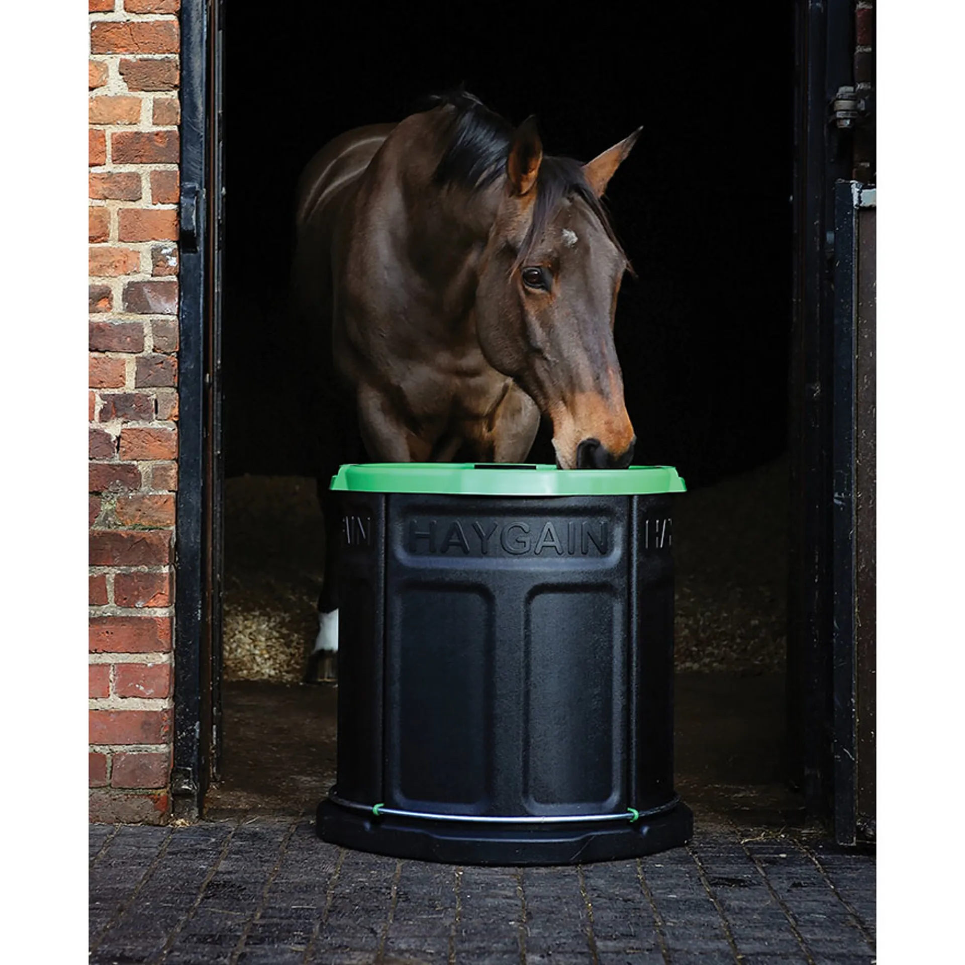 Haygain Forager Slow Feeder