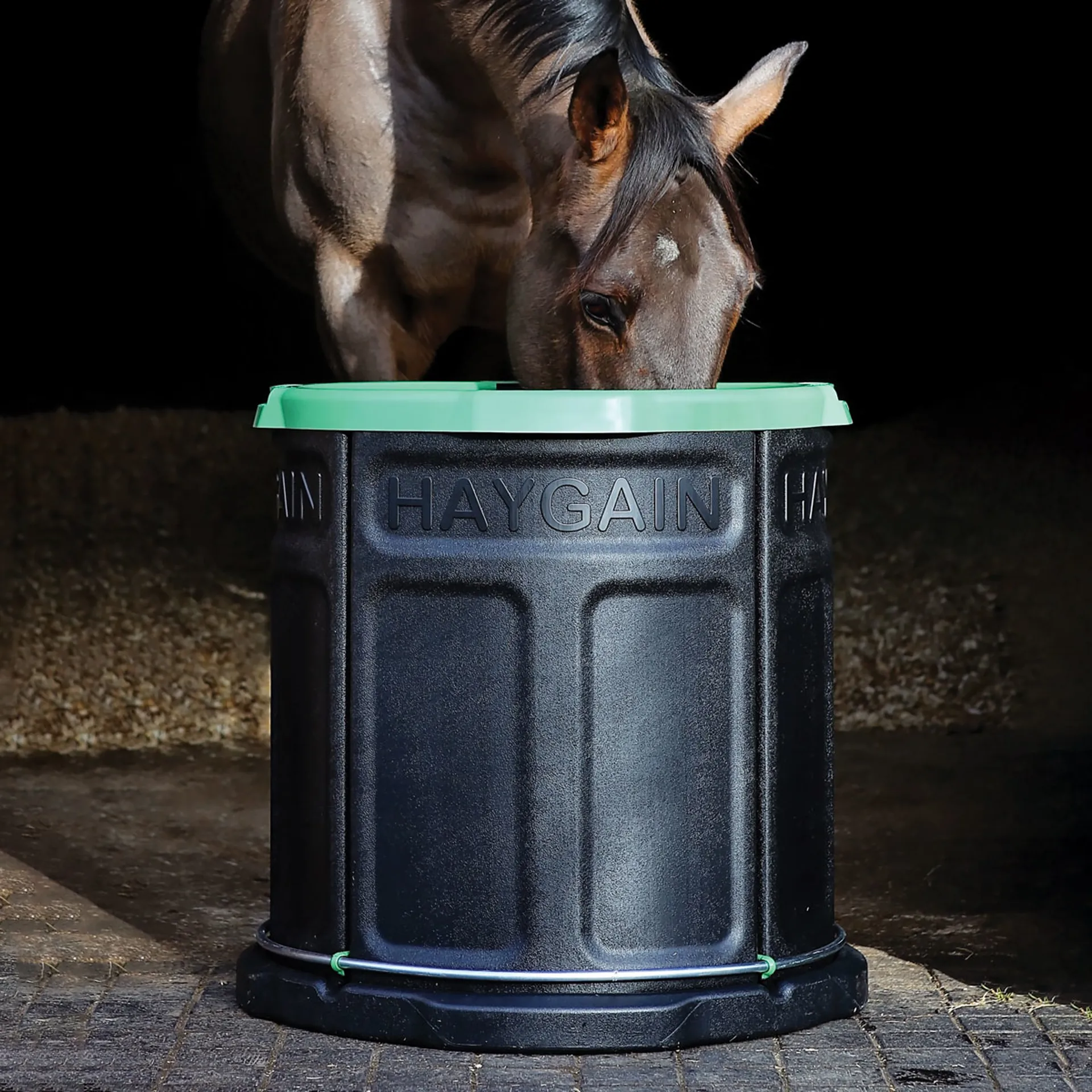 Haygain Forager Slow Feeder
