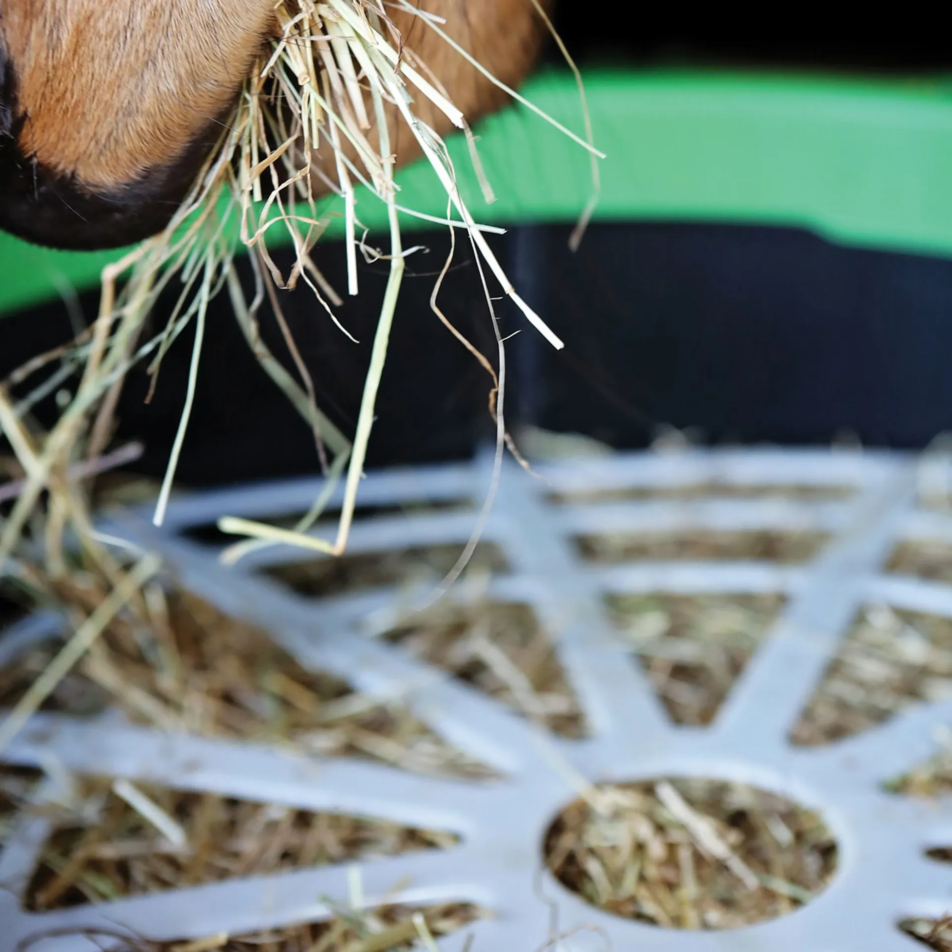 Haygain Forager Slow Feeder