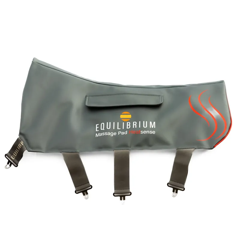 Equilibrium Heatsense Massage Back Pad - Small - TRIAL-5