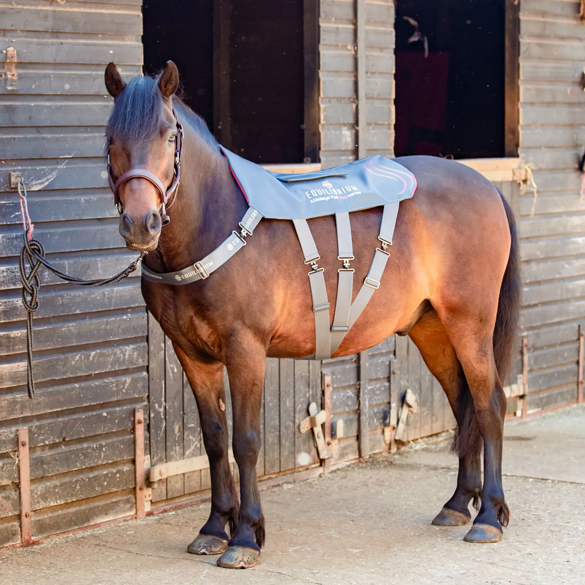 Matelas Massant Équilibrium Heatsense Pour Cheval - Chaleur Et Massage - Gris - Taille Standard/XL