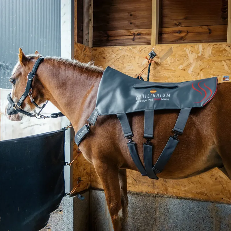 Equilibrium Heatsense Massage Back Pad - Small - TRIAL