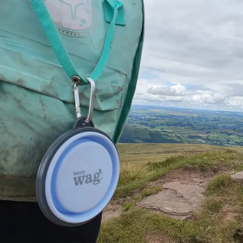 Henry Wag Pet Travel Bowl - Blue-2