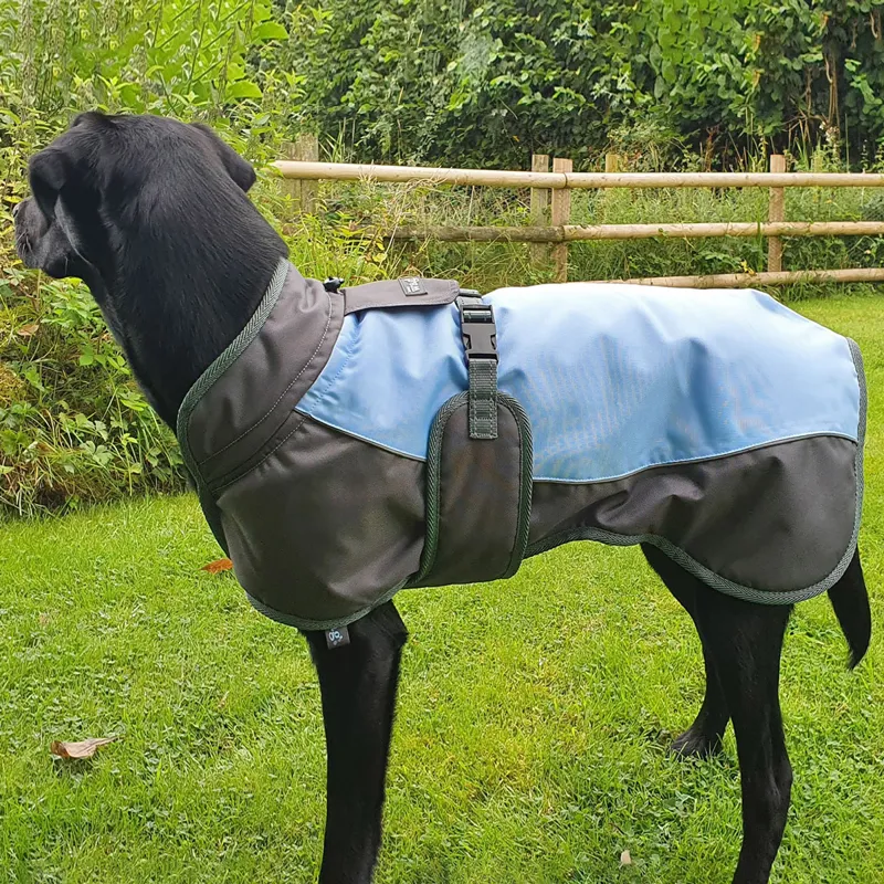 Henry Wag Waterproof Dog Coat Blue Grey
