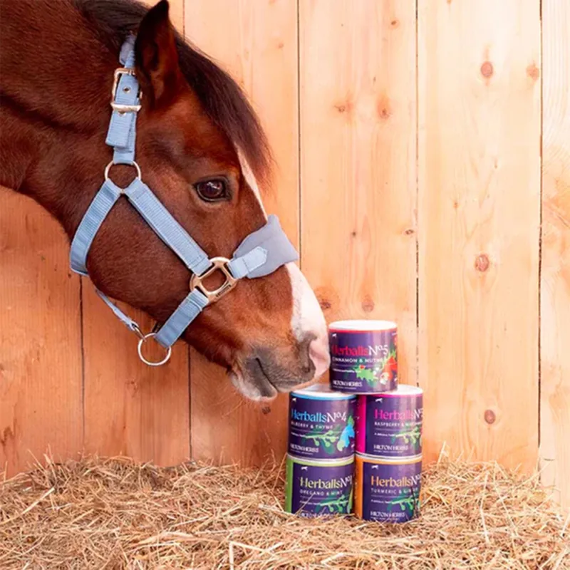 Hilton Herbs Herballs No.1 Treats - Oregano/Mint-1