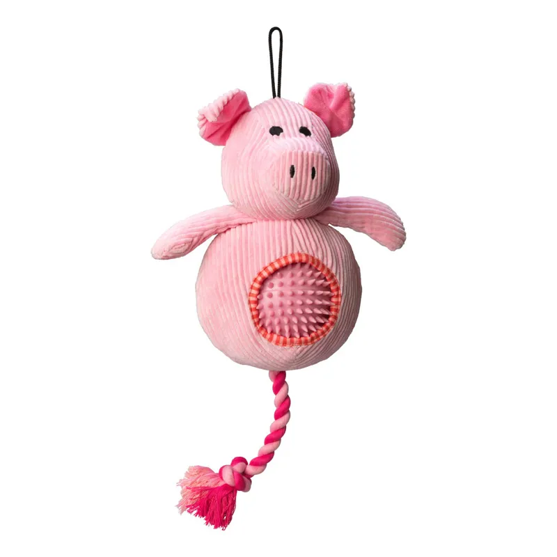 Dog toy with sales spiky ball inside