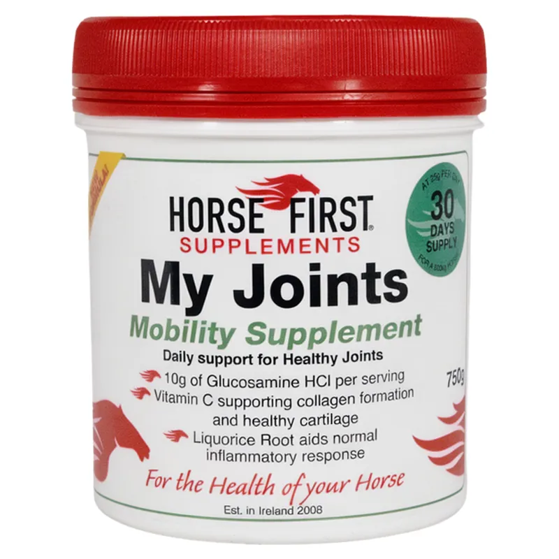 Horse First My Joints -1