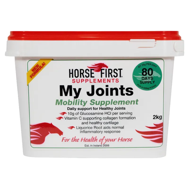 Horse First My Joints -3
