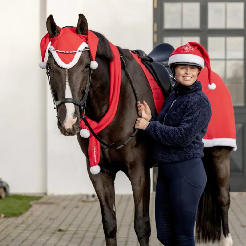 Horse Guard Christmas Horse Scarf - Red-1